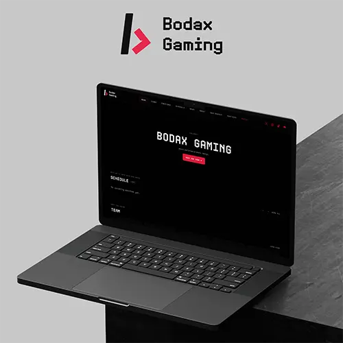 Bodax Gaming Projekt